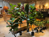 Emerald kunstbomen (4x) - afbeelding 1 van  5