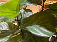 Emerald kunstbomen (4x) - afbeelding 3 van  5