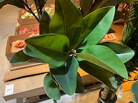 Emerald kunstbomen (4x) - afbeelding 4 van  5