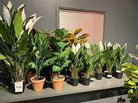 Emerald kunstplanten (18x) - afbeelding 1 van  7