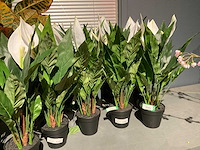 Emerald kunstplanten (18x) - afbeelding 2 van  7