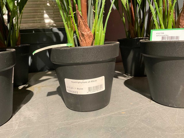 Emerald kunstplanten (18x) - afbeelding 3 van  7