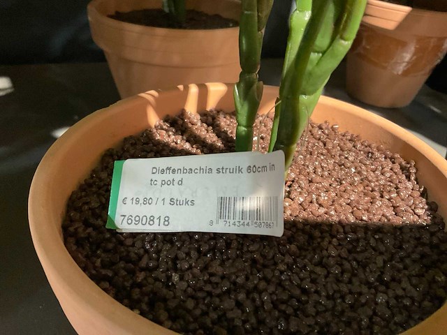 Emerald kunstplanten (18x) - afbeelding 5 van  7