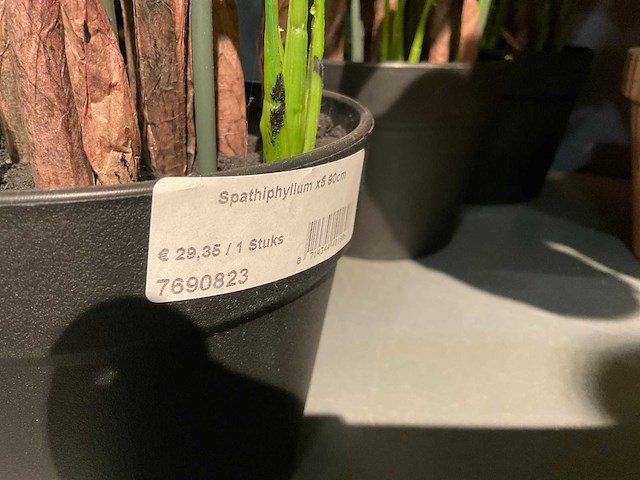 Emerald kunstplanten (18x) - afbeelding 6 van  7