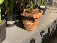 Emerald kunstplanten (18x) - afbeelding 7 van  7