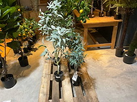 Emerald kunstplanten (5x) - afbeelding 2 van  9