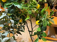 Emerald kunstplanten (5x) - afbeelding 4 van  9