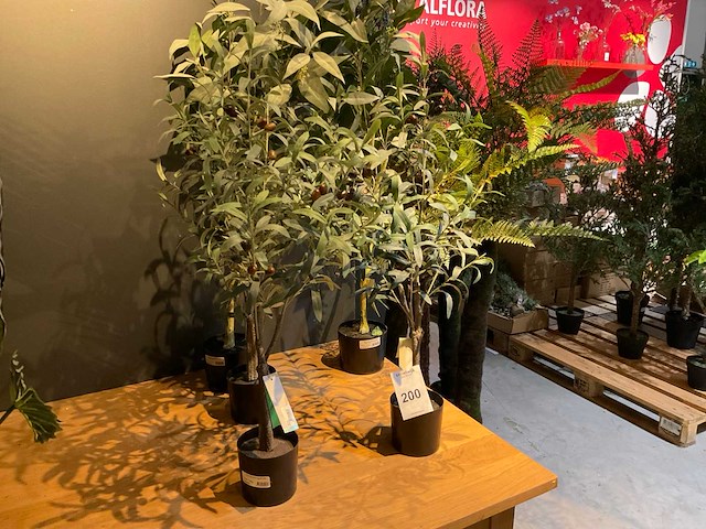 Emerald kunstplanten (5x) - afbeelding 1 van  7