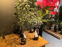 Emerald kunstplanten (5x) - afbeelding 1 van  7