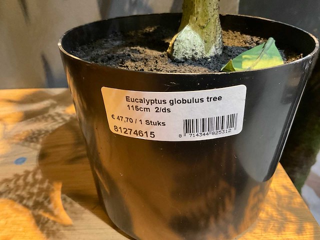 Emerald kunstplanten (5x) - afbeelding 4 van  7