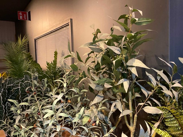 Emerald kunstplanten (5x) - afbeelding 5 van  7