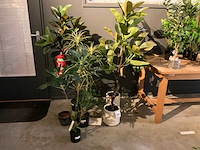 Emerald kunstplanten (5x) - afbeelding 1 van  8