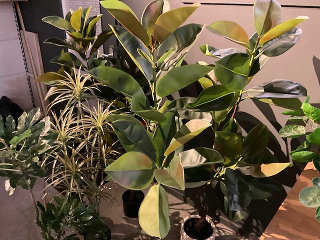 Emerald kunstplanten (5x) - afbeelding 7 van  8