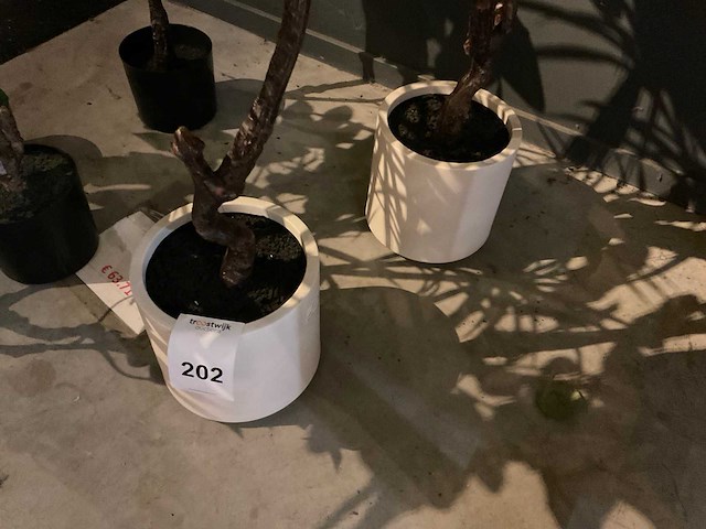 Emerald kunstplanten (5x) - afbeelding 8 van  8