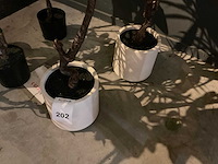 Emerald kunstplanten (5x) - afbeelding 8 van  8