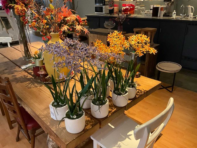 Emerald kunstplanten (8x) - afbeelding 1 van  4