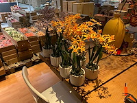 Emerald kunstplanten (8x) - afbeelding 2 van  4