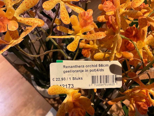 Emerald kunstplanten (8x) - afbeelding 3 van  4