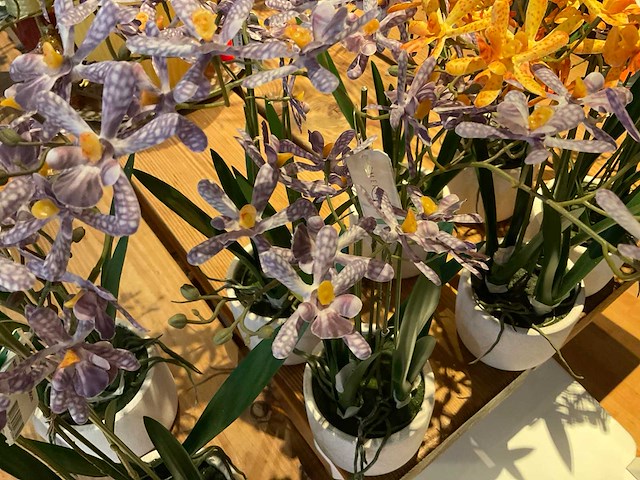 Emerald kunstplanten (8x) - afbeelding 4 van  4