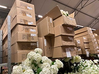 Emerald partij zijde bloemen - afbeelding 3 van  6