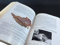 Emergencu surgery - afbeelding 5 van  5