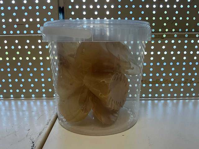 Emmer kauwschoenen hondensnacks (10x) - afbeelding 2 van  2