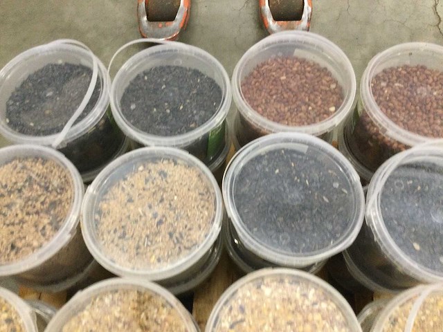 Emmers met divers vogelvoer (45x) - afbeelding 2 van  9