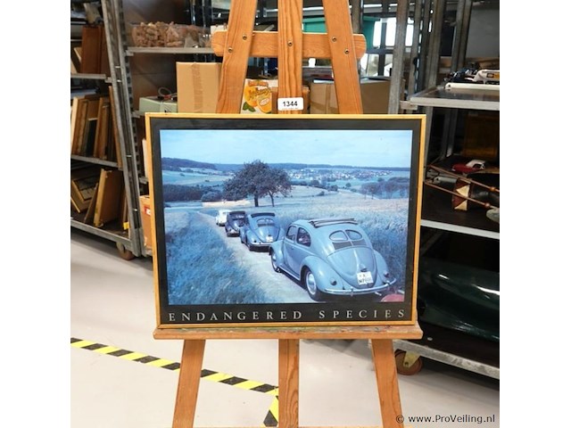 Endangered species - afbeelding 1 van  5
