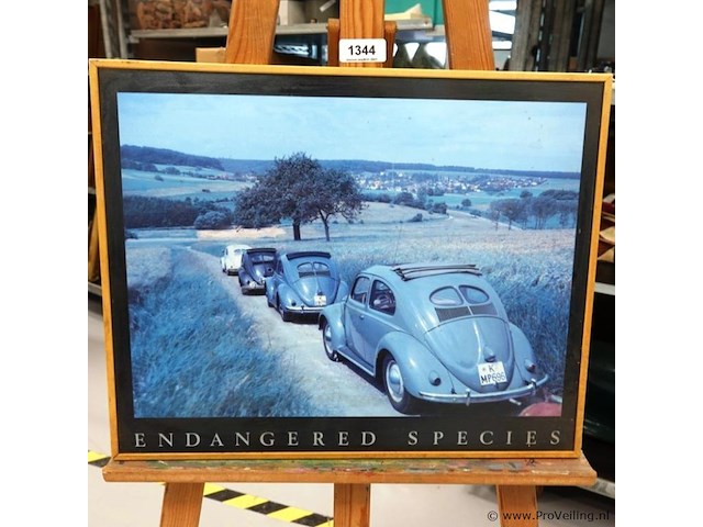 Endangered species - afbeelding 2 van  5