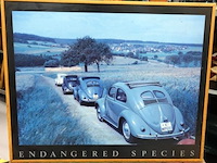 Endangered species - afbeelding 2 van  5