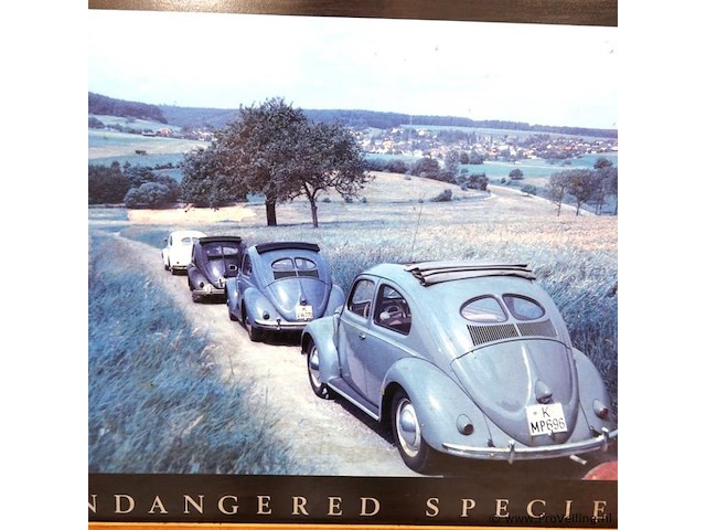 Endangered species - afbeelding 3 van  5