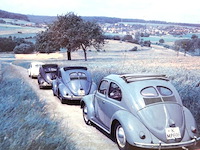 Endangered species - afbeelding 3 van  5