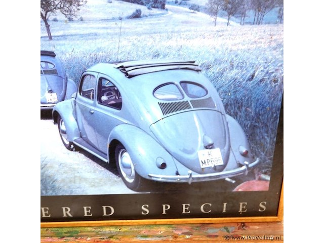 Endangered species - afbeelding 4 van  5