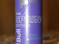 Energiedrank red bull spring edition walstro & grapefruit. 240 trays a 12 x 0,25l. 2880 blikken. tht 1-26. ... - afbeelding 3 van  4