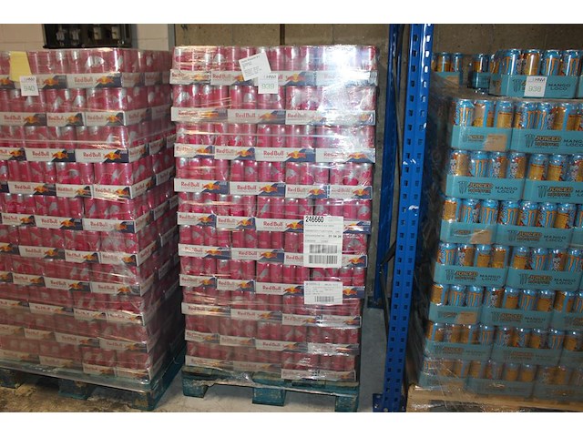 Energiedrank red bull summer edition witte perzik. 240 trays a 12 x 0,25l. 2880 blikken. tht 4-26. bod is i... - afbeelding 1 van  2