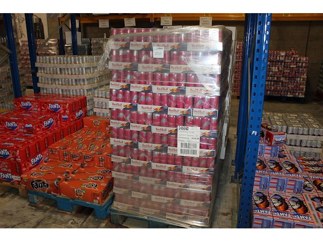 Energiedrank red bull summer edition witte perzik. 240 trays a 12 x 0,25l. 2880 blikken. tht 5-26. bod is i... - afbeelding 1 van  3