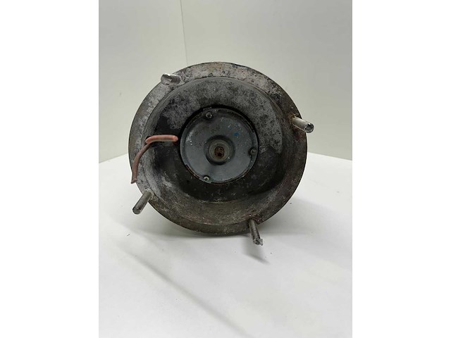 Engelse bootlier - afbeelding 3 van  6