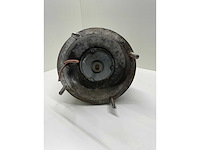 Engelse bootlier - afbeelding 3 van  6