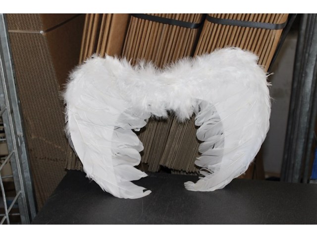 Engelvleugels 1x in ds y - afbeelding 2 van  3