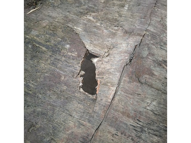 Enkelas aanghangwagen - afbeelding 6 van  16