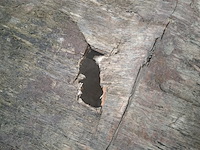 Enkelas aanghangwagen - afbeelding 6 van  16