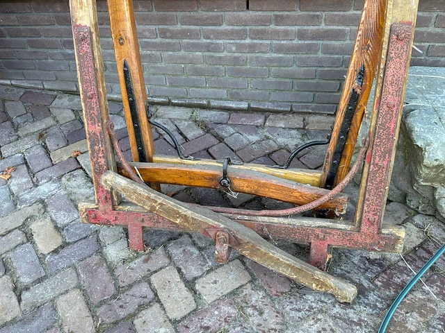 Enkelspan boom (2x) - afbeelding 2 van  3