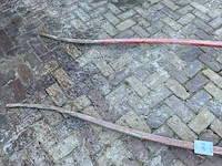 Enkelspan boom - afbeelding 3 van  3