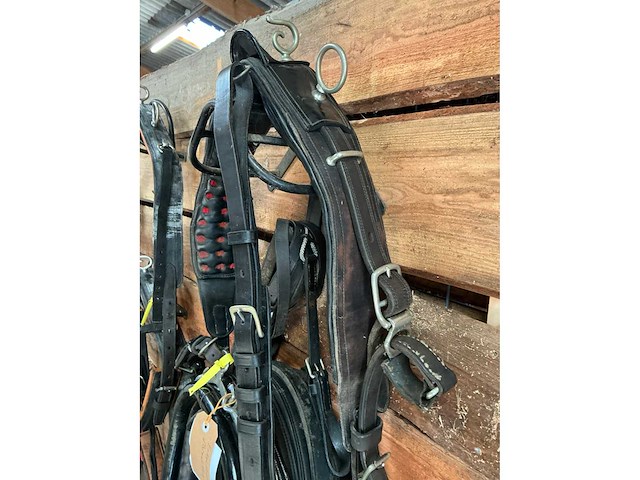 Enkelspan gareeltuig - afbeelding 3 van  6