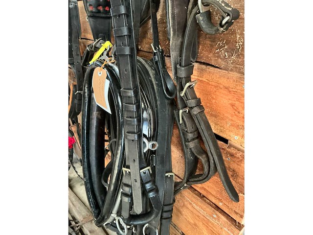 Enkelspan gareeltuig - afbeelding 4 van  6