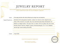 Entourage hanger met witte briljanten en grote blauwe saffier ovaal - afbeelding 3 van  7