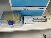 Eppendorf research plus multi pipette (4x)