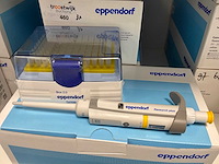 Eppendorf research plus pipet (3x)