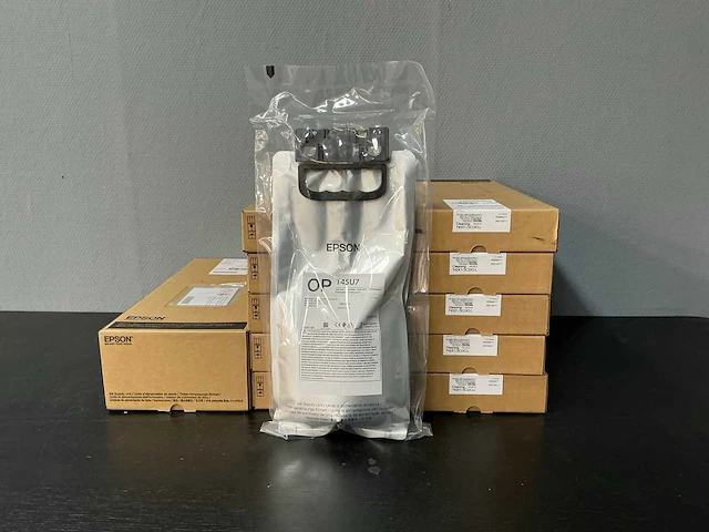 Epson - inkt zakken (13x) - afbeelding 2 van  7