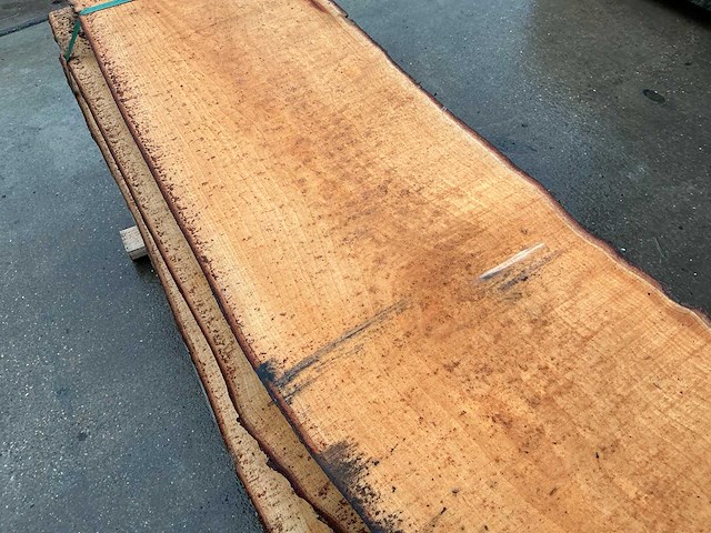 Esdoorn (0,278 m3) - afbeelding 2 van  11